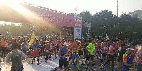 井陉马拉松爆料最新消息,赛事精彩瞬间与亮点速览  第2张