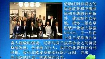 最新辽阳爆料事件新闻,揭秘背后真相与争议焦点  第1张