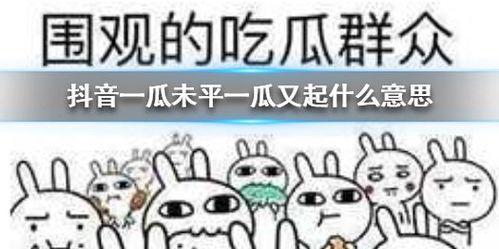 最新吃瓜爆料抖音,揭秘娱乐圈惊人内幕！  第2张